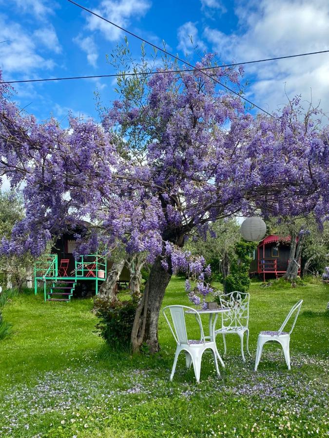 Azienda Agricola Della Mezzaluna Stiava Eksteriør billede
