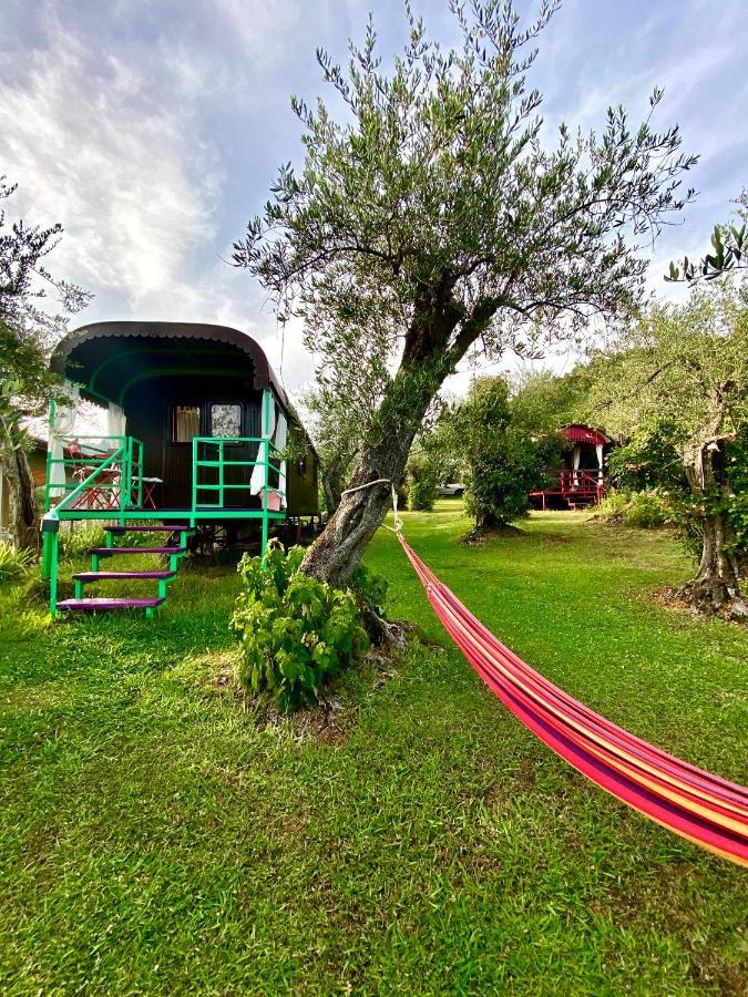 Azienda Agricola Della Mezzaluna Stiava Eksteriør billede