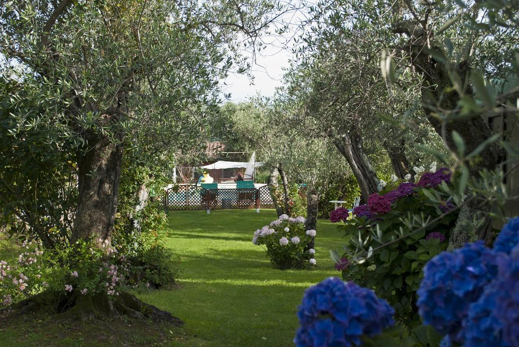 Azienda Agricola Della Mezzaluna Stiava Eksteriør billede