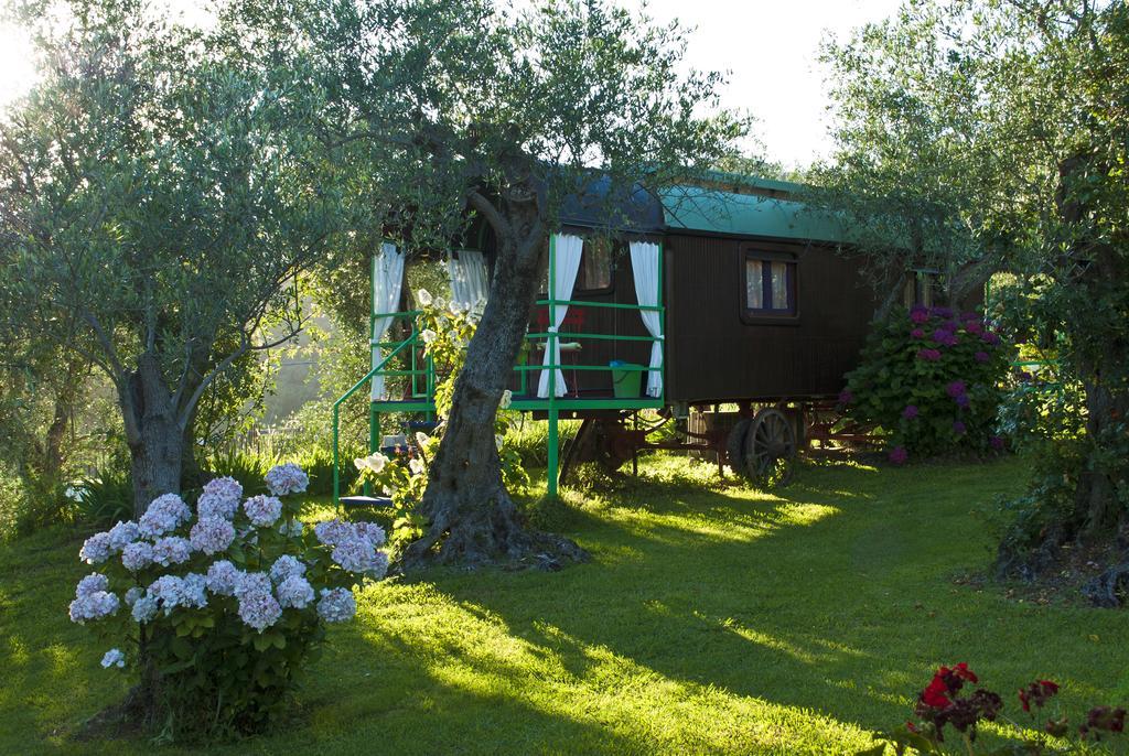 Azienda Agricola Della Mezzaluna Stiava Eksteriør billede