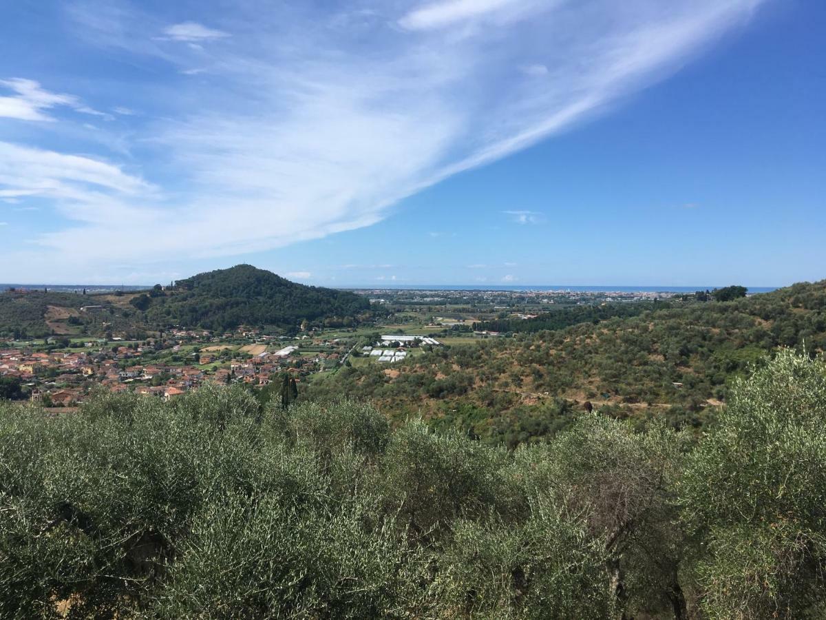 Azienda Agricola Della Mezzaluna Stiava Eksteriør billede